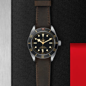 TUDOR Black Bay Fifty-Eight