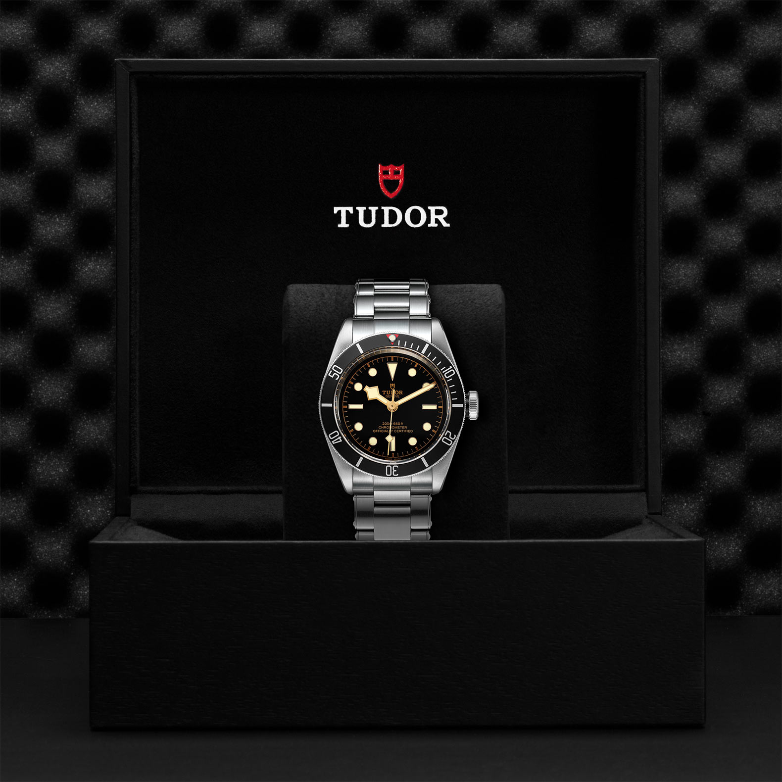 TUDOR Black Bay