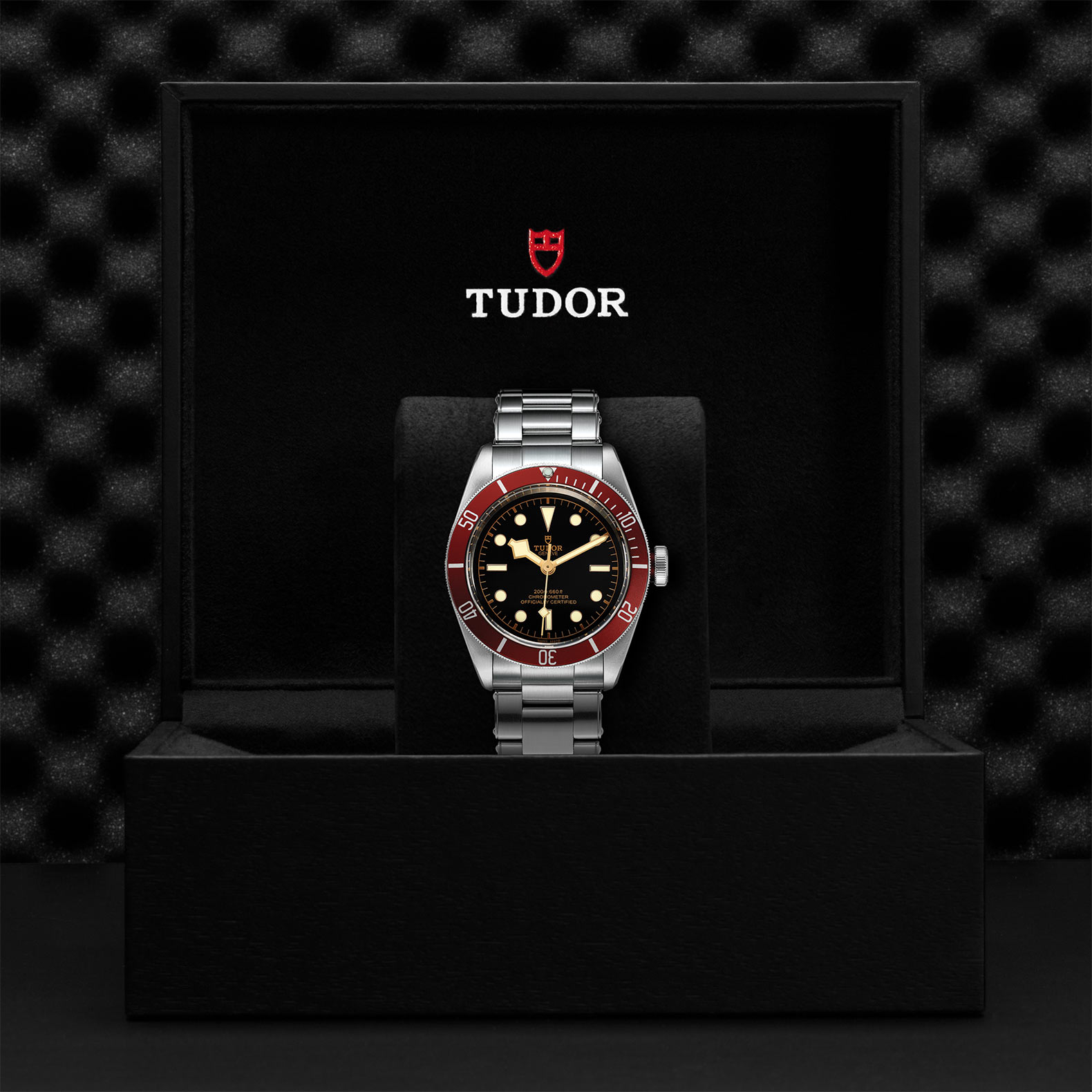 TUDOR Black Bay