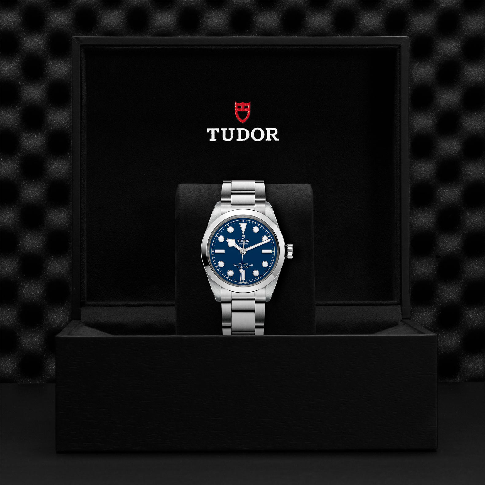 TUDOR Black Bay 36