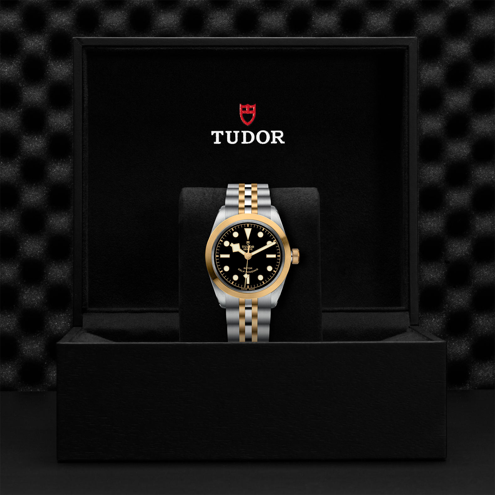 TUDOR Black Bay 36 S&G