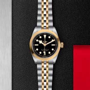 TUDOR Black Bay 36 S&G