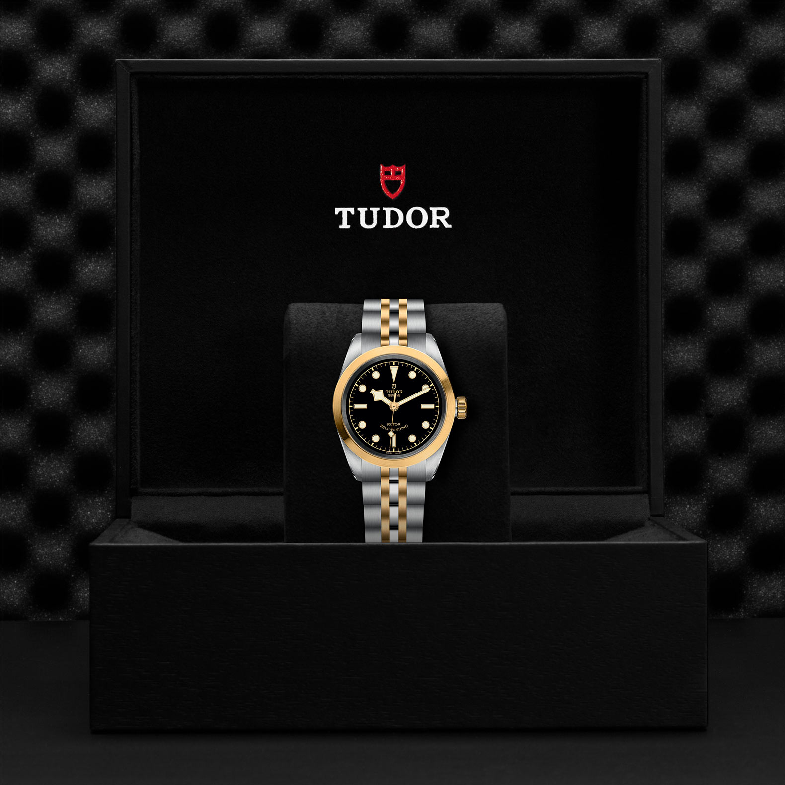 TUDOR Black Bay 32 S&G