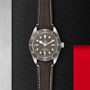 TUDOR Black Bay Fifty-Eight