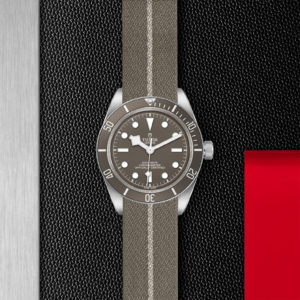 TUDOR Black Bay Fifty-Eight