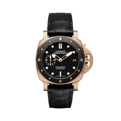 PAM00684