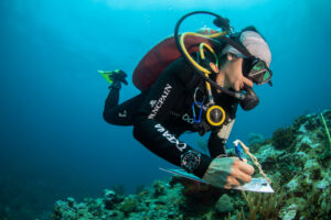 Blancpain Oceana arrecife alacranes