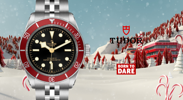 Tudor-banner (1)