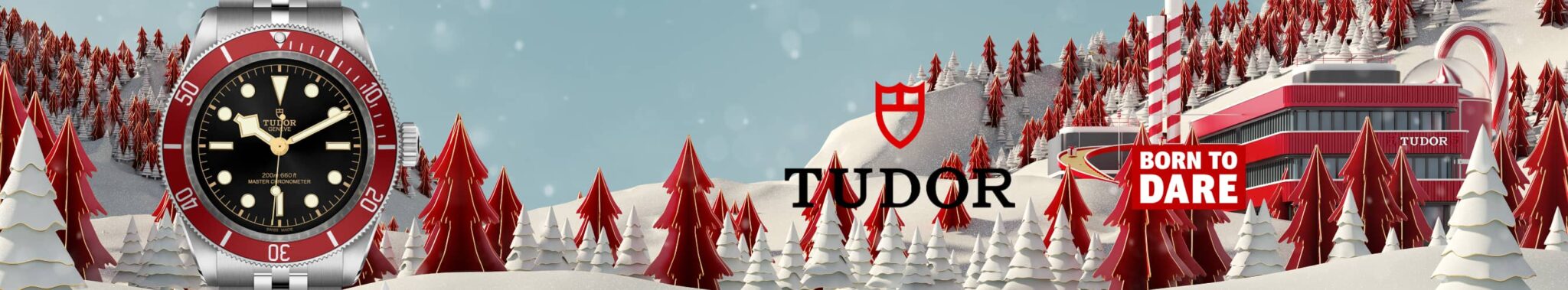 Tudor-banner (2)