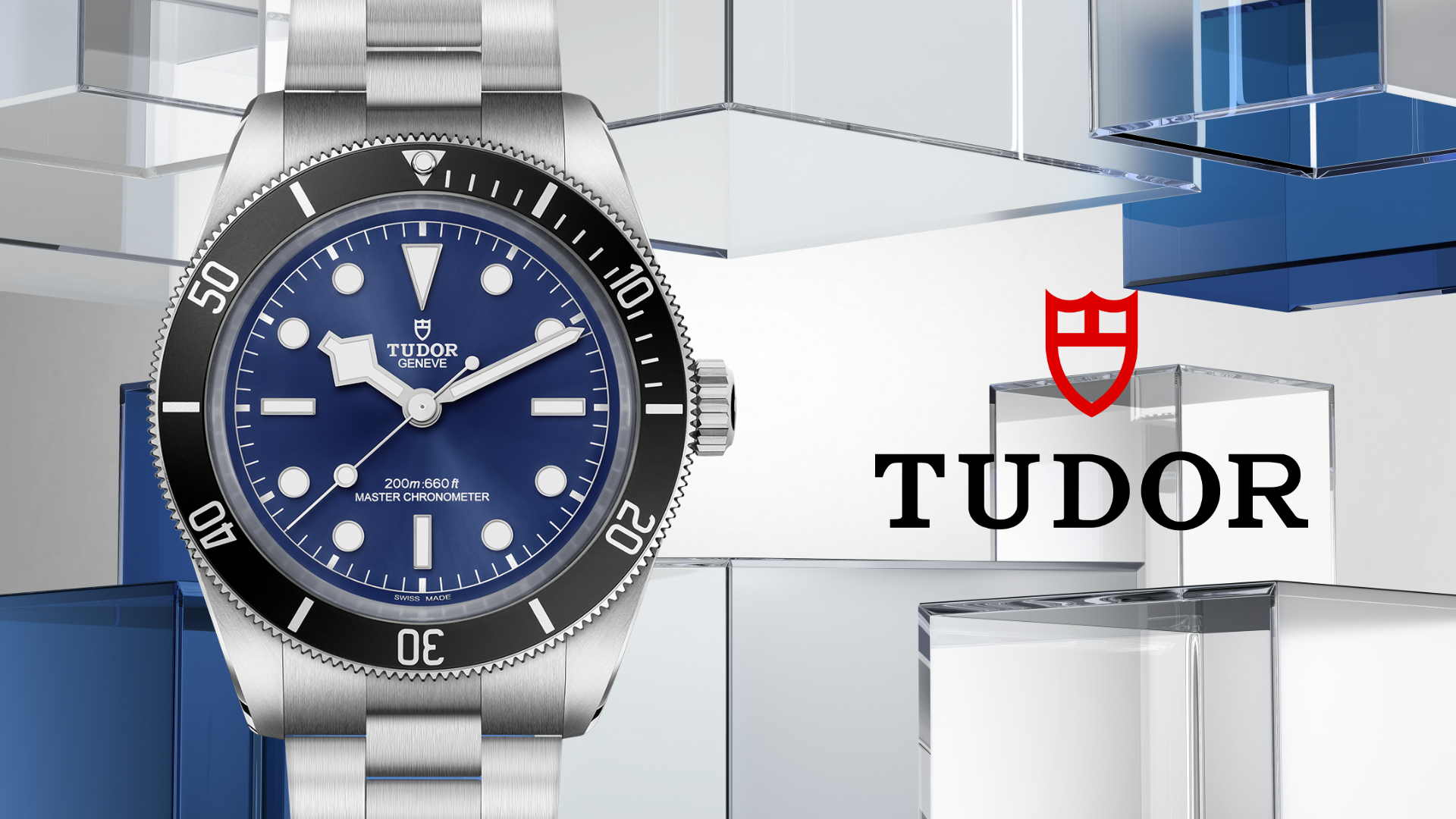 Tudor-banner
