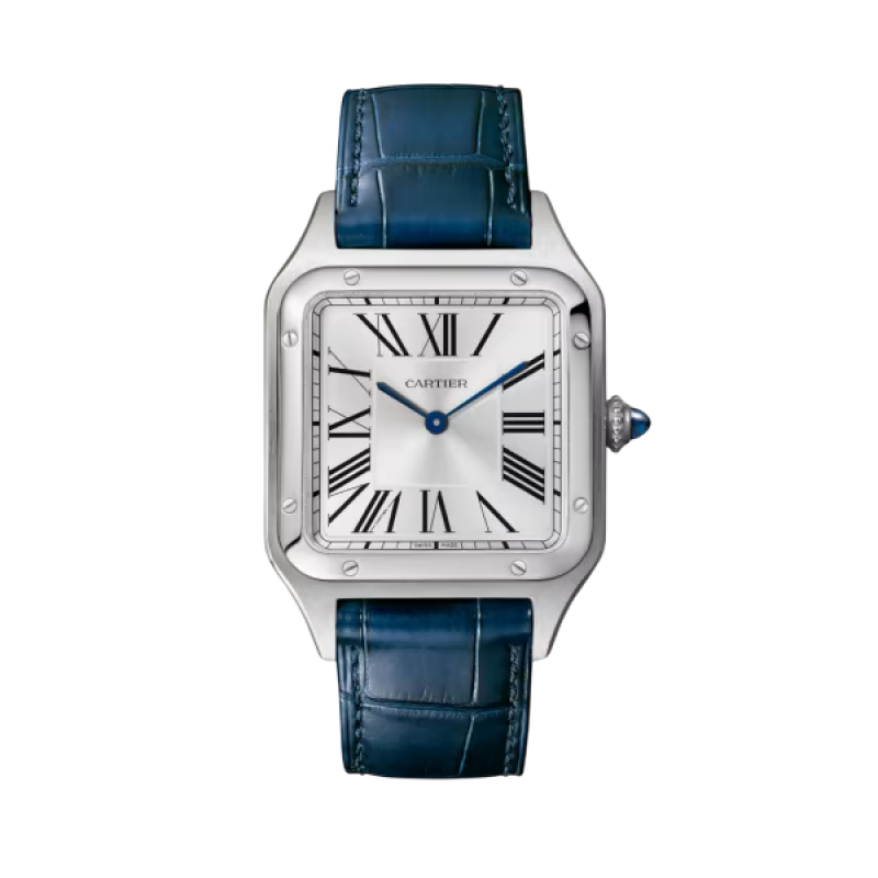 2098131.png.scale.600.high.reloj-santos-dumont-acero