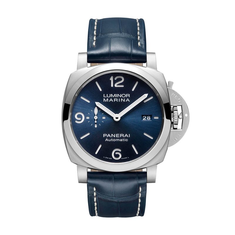 PAM01313_1