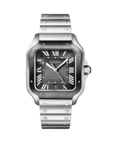 SANTOS AUT STL STL BZL ADLC GREY 39